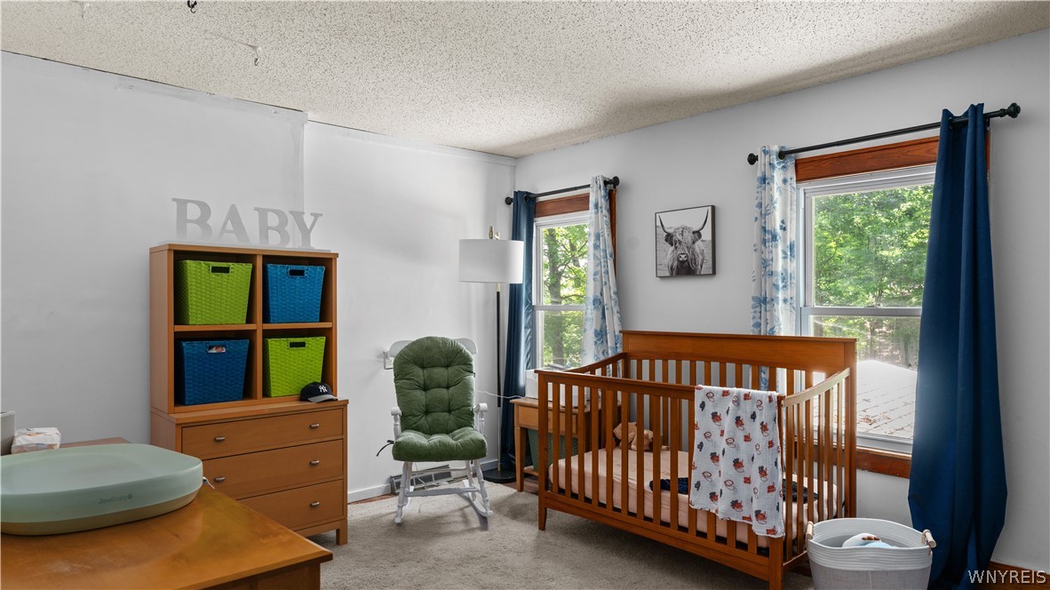 7075 South Abbott Road Boston, NY 14075 - Photo 31 of 50