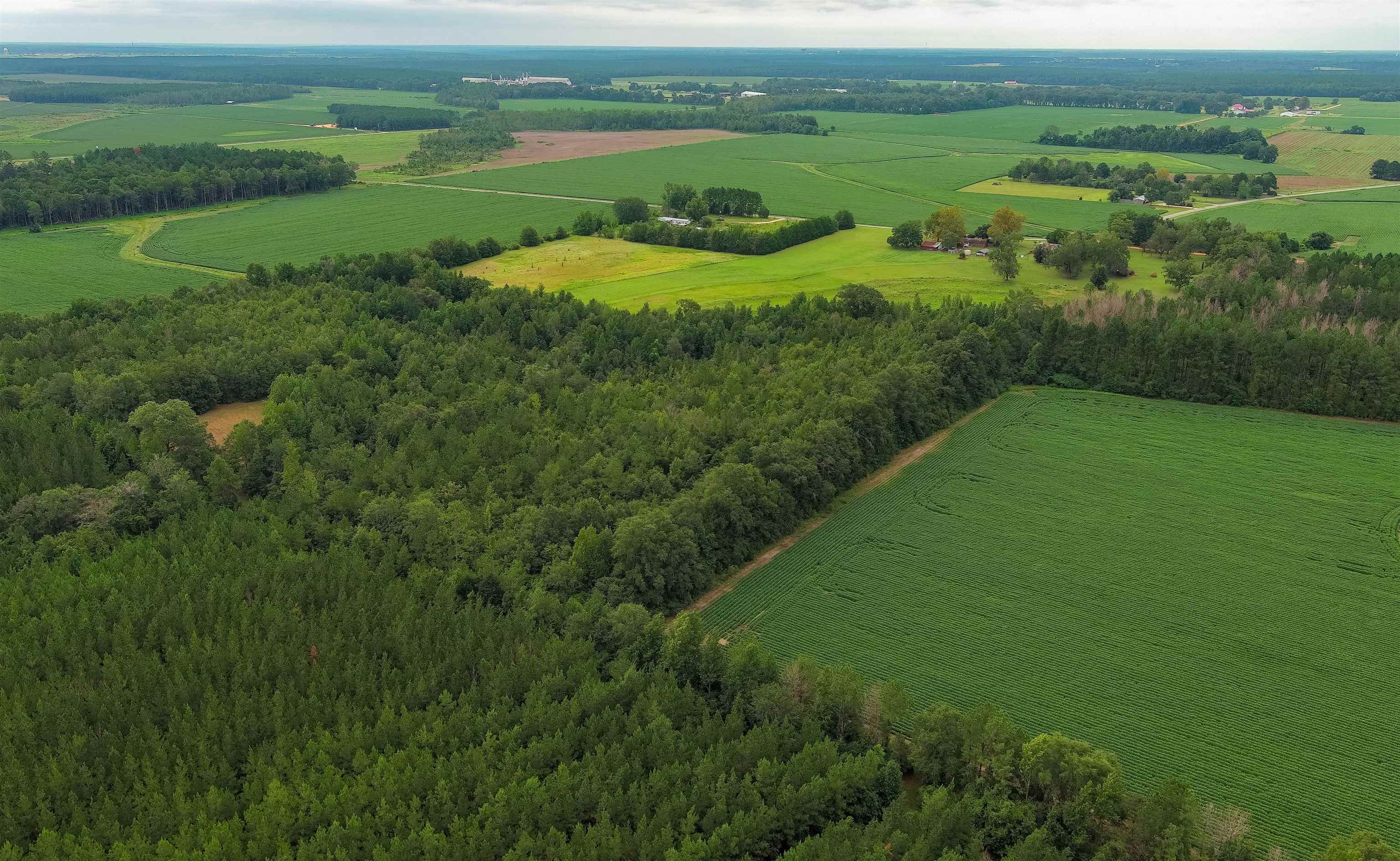 1147 Mack Pond Road Atmore, AL 36502 - Photo 31 of 40 Aerial view with a rural view