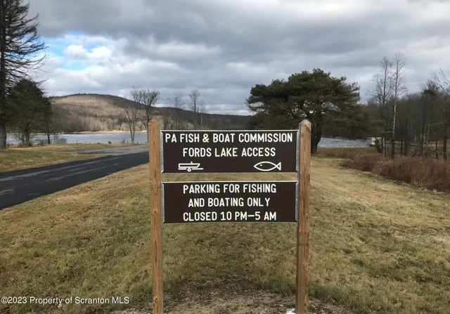 a view of a forest with trees in the background