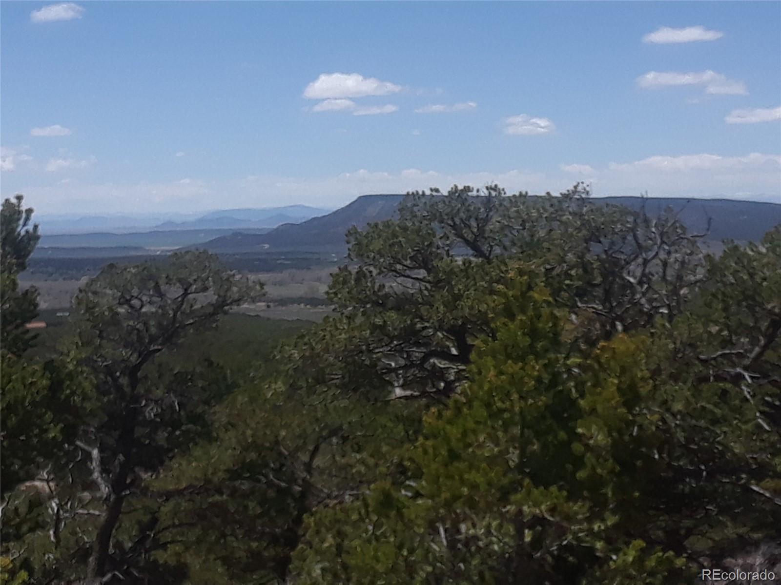 Alligood Road Fort Garland, CO 81133 - Photo 12 of 21 Gallery Image 12
