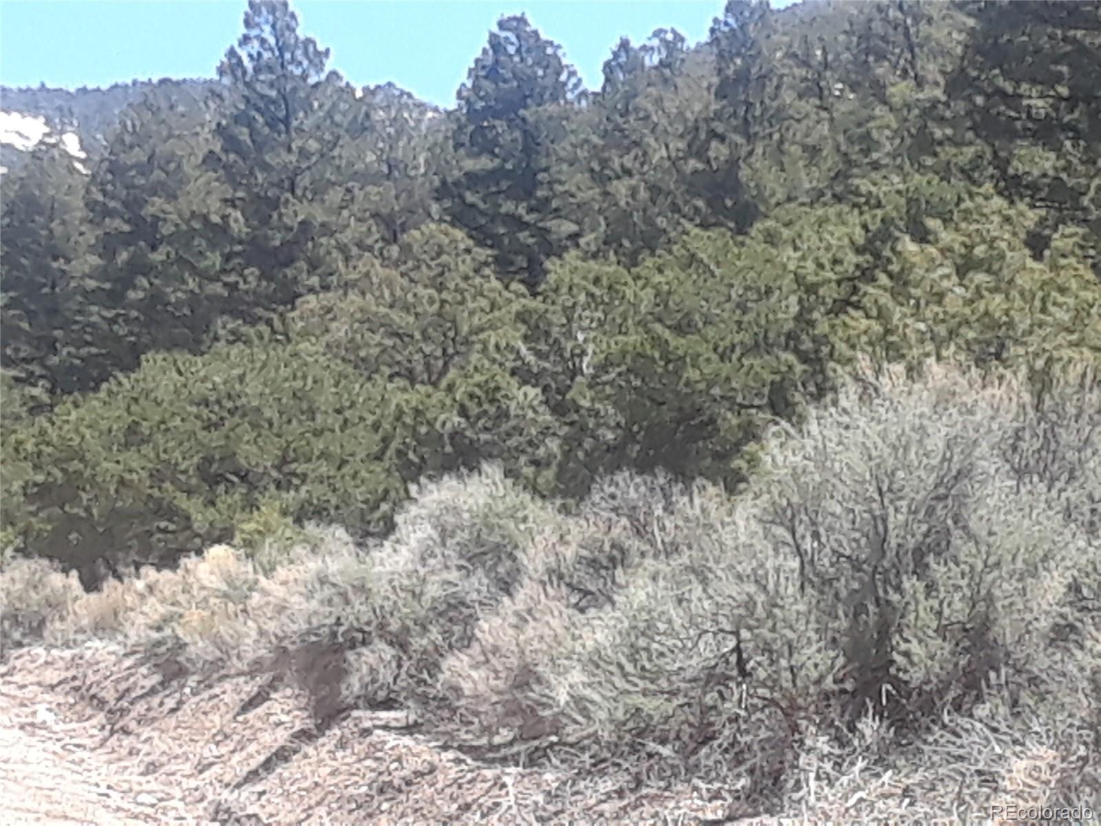 Alligood Road Fort Garland, CO 81133 - Photo 2 of 21 Gallery Image 2