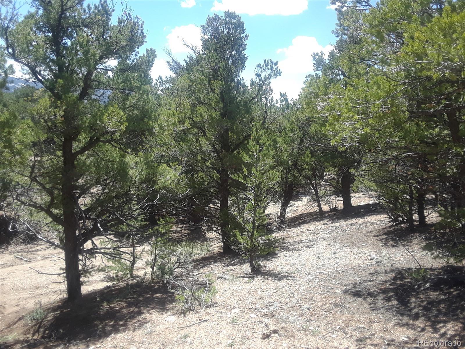 Alligood Road Fort Garland, CO 81133 - Photo 6 of 21 Gallery Image 6