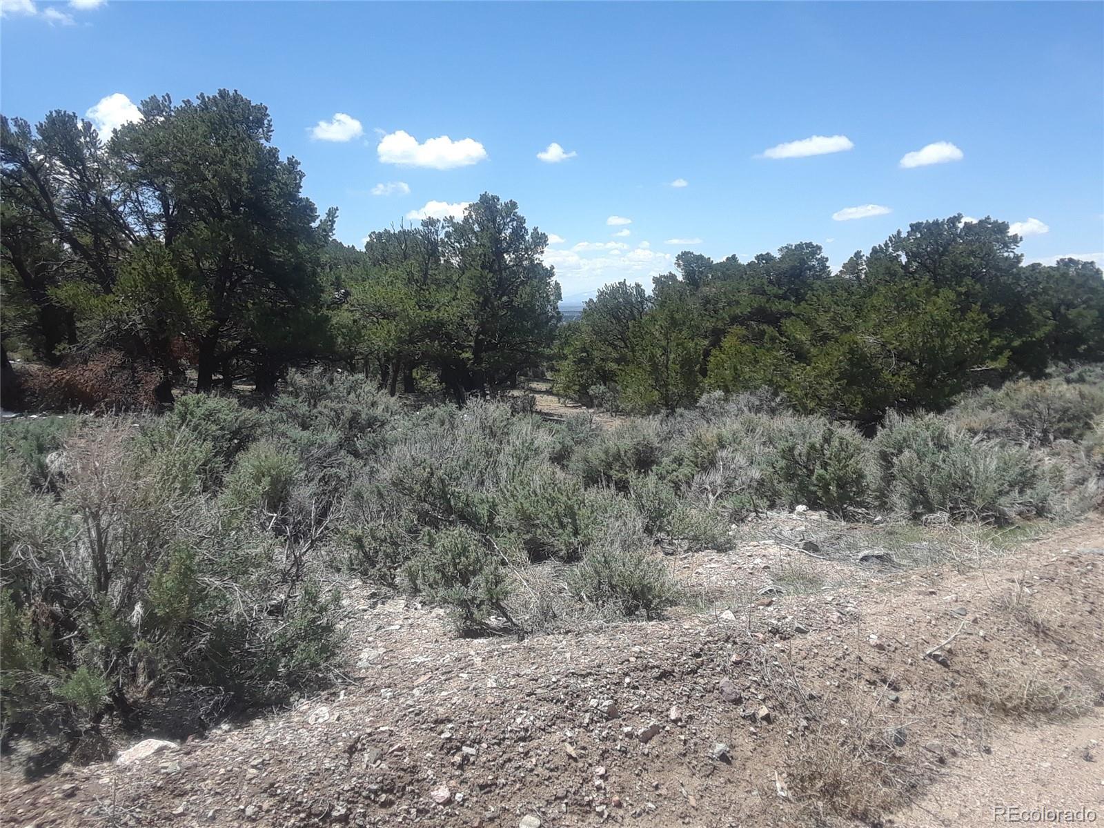 Alligood Road Fort Garland, CO 81133 - Photo 7 of 21 Gallery Image 7