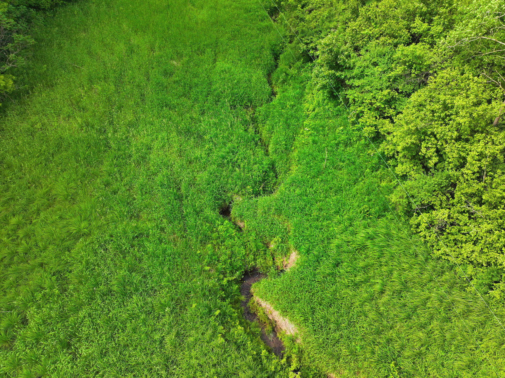0 County Road West Holmen, WI 54636 - Photo 10 of 17 9-web-or-mls-DJI_20260605172943_0312_D