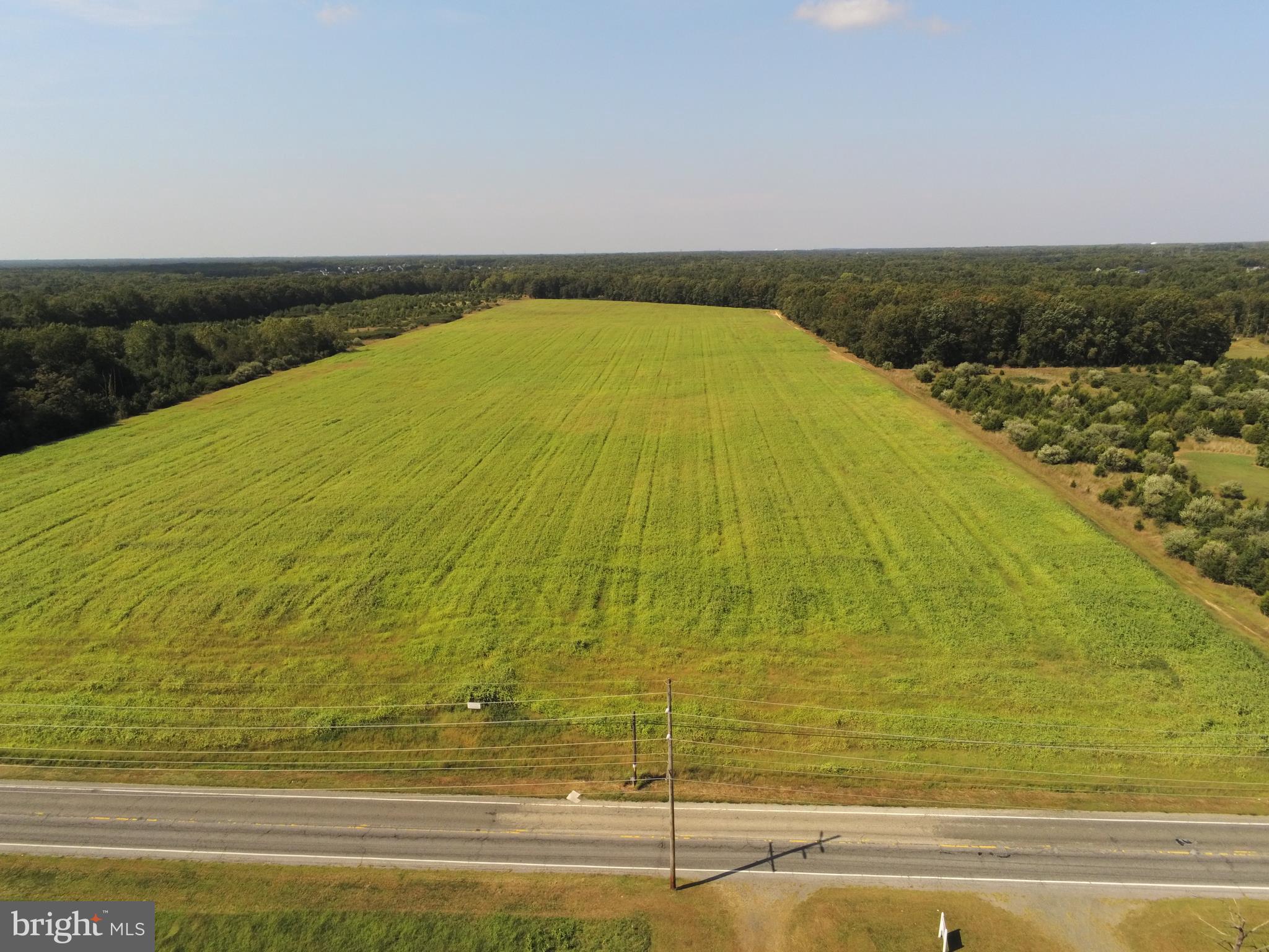 L10 Clayton Road Franklinville, NJ 08322 - Photo 1 of 14 Gallery Image 1