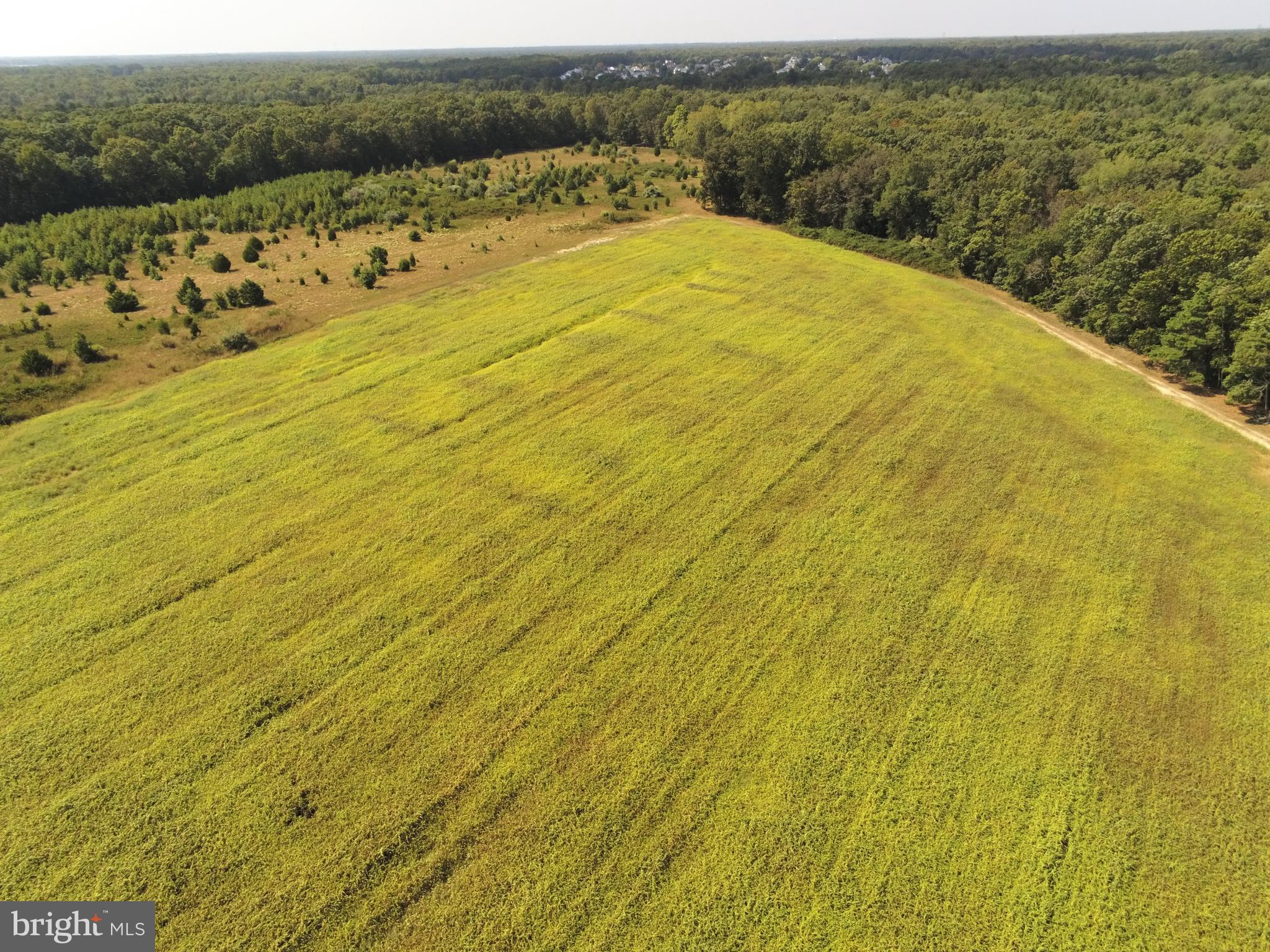 L10 Clayton Road Franklinville, NJ 08322 - Photo 11 of 14 Gallery Image 11