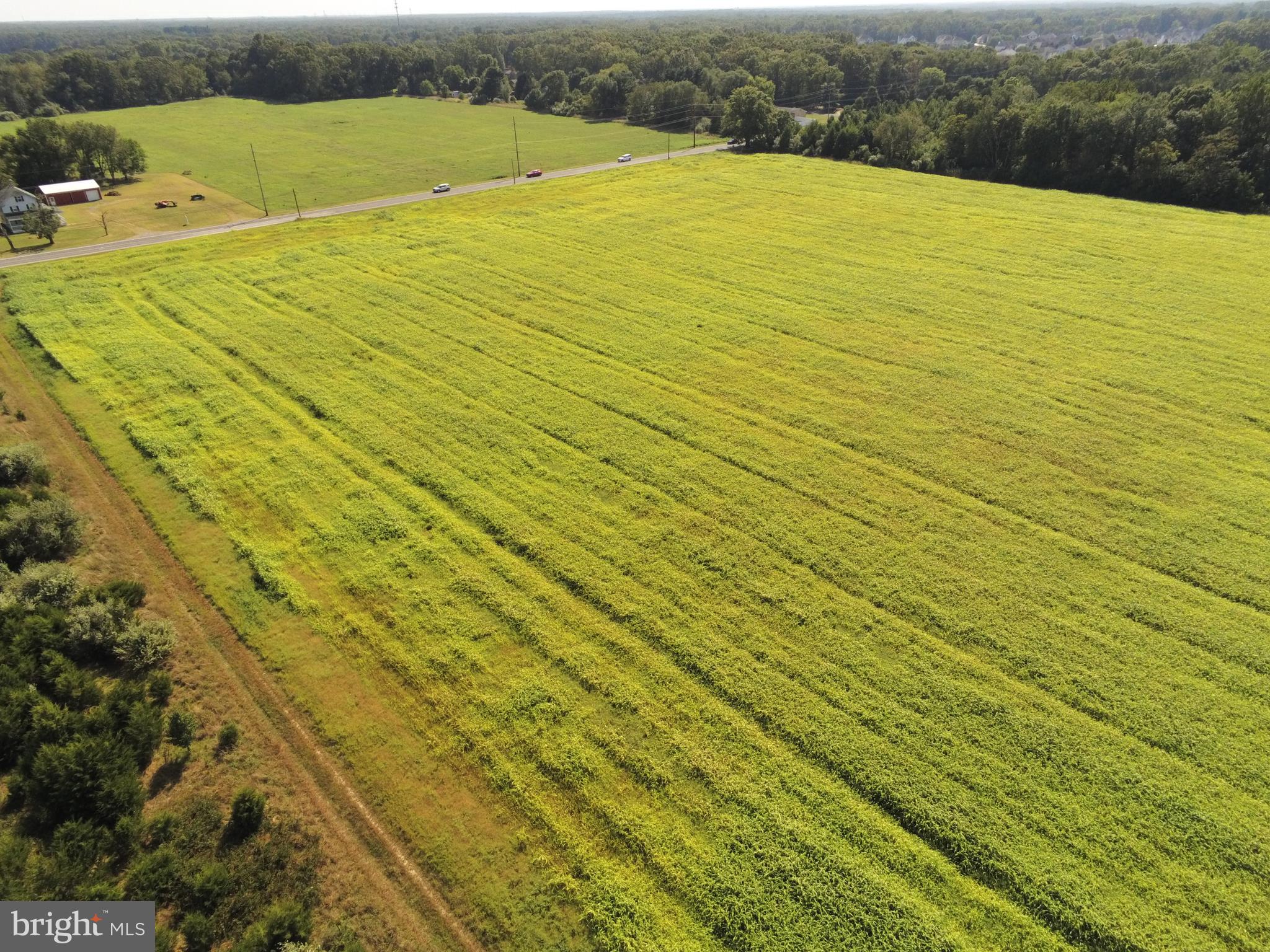 L10 Clayton Road Franklinville, NJ 08322 - Photo 10 of 14 Gallery Image 10