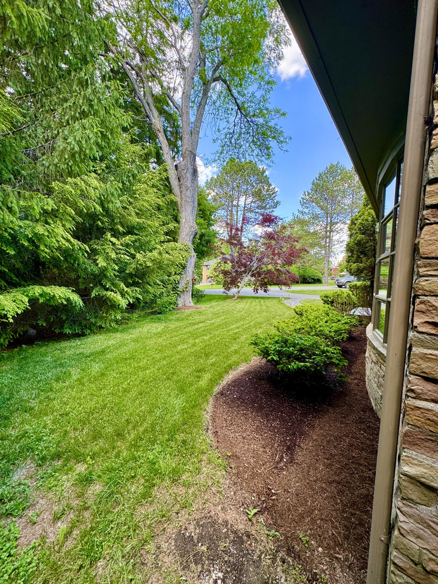 281 Clyde Road Bangor, ME 04401 - Photo 73 of 108 IMG_9091