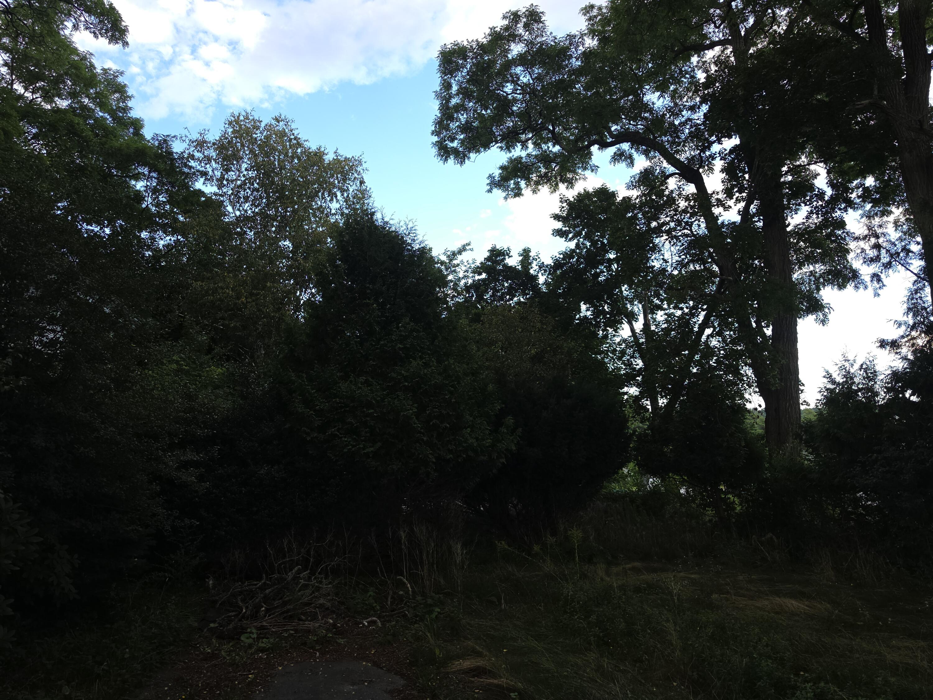 4 South River Road Calais, ME 04619 - Photo 5 of 12 15769
