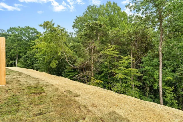a view of a backyard of the house