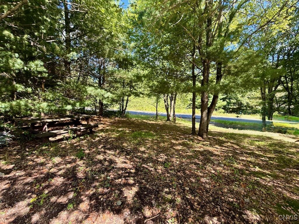 289 South Albion Road Altmar, NY 13302 - Photo 32 of 47