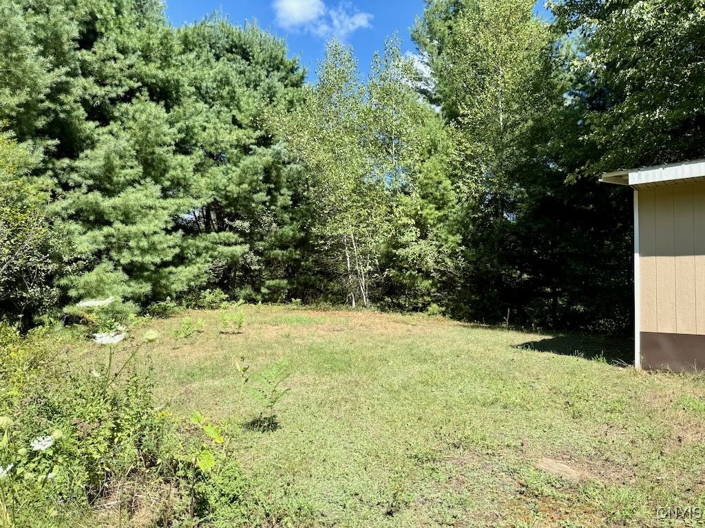 289 South Albion Road Altmar, NY 13302 - Photo 39 of 47