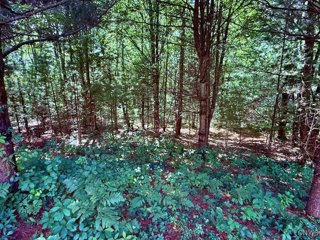 289 South Albion Road Altmar, NY 13302 - Photo 5 of 47