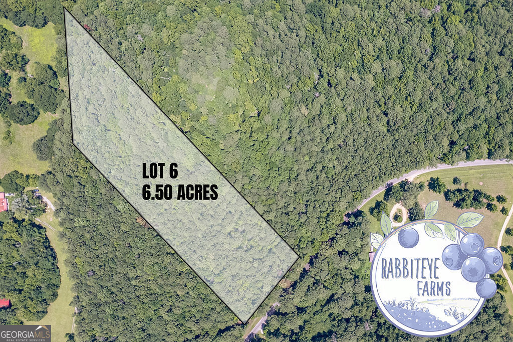 Lot 6 Haynes Road Moreland, GA 30259 - Photo 2 of 2 Gallery Image 2