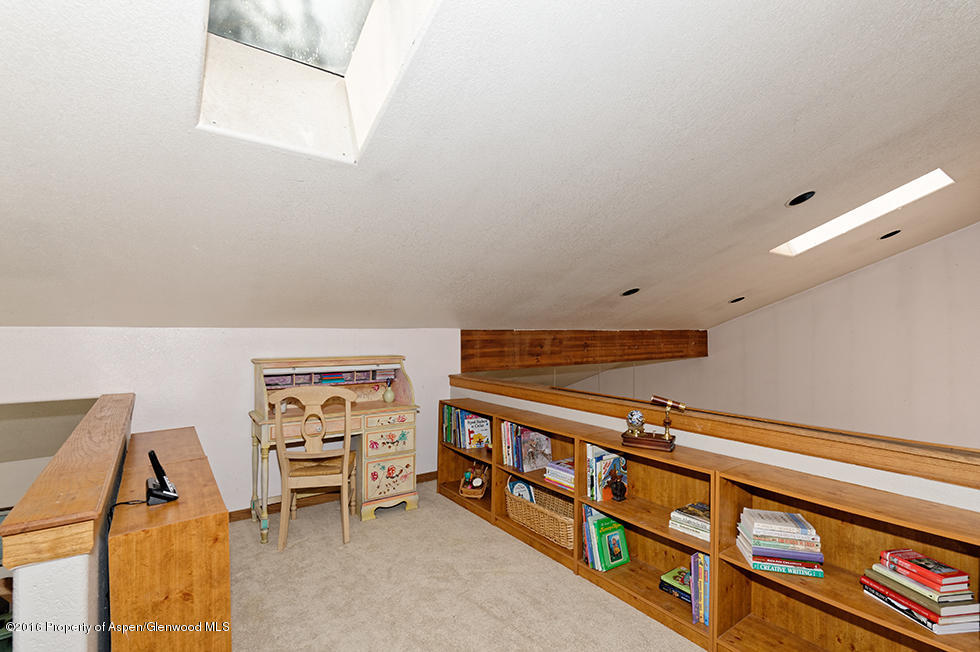 284 Riverside Road Carbondale, CO 81623 - Photo 16 of 30 Loft