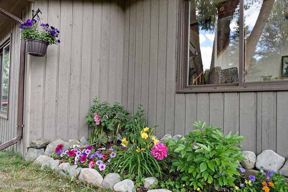 284 Riverside Road Carbondale, CO 81623 - Photo 23 of 30 Flower Garden