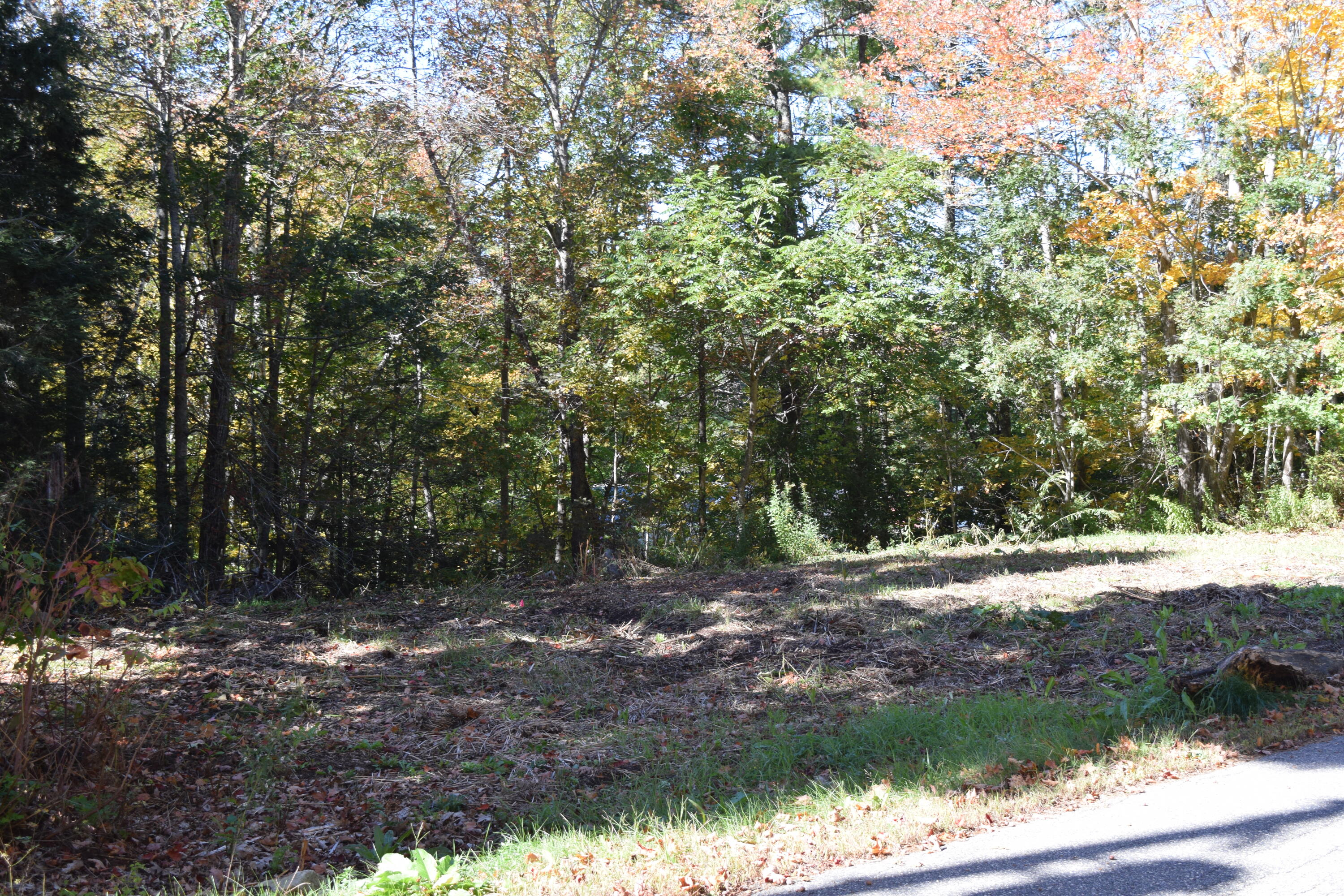 Lot #4 Coombs Road Brunswick, ME 04011 - Photo 5 of 5 DSC_1283