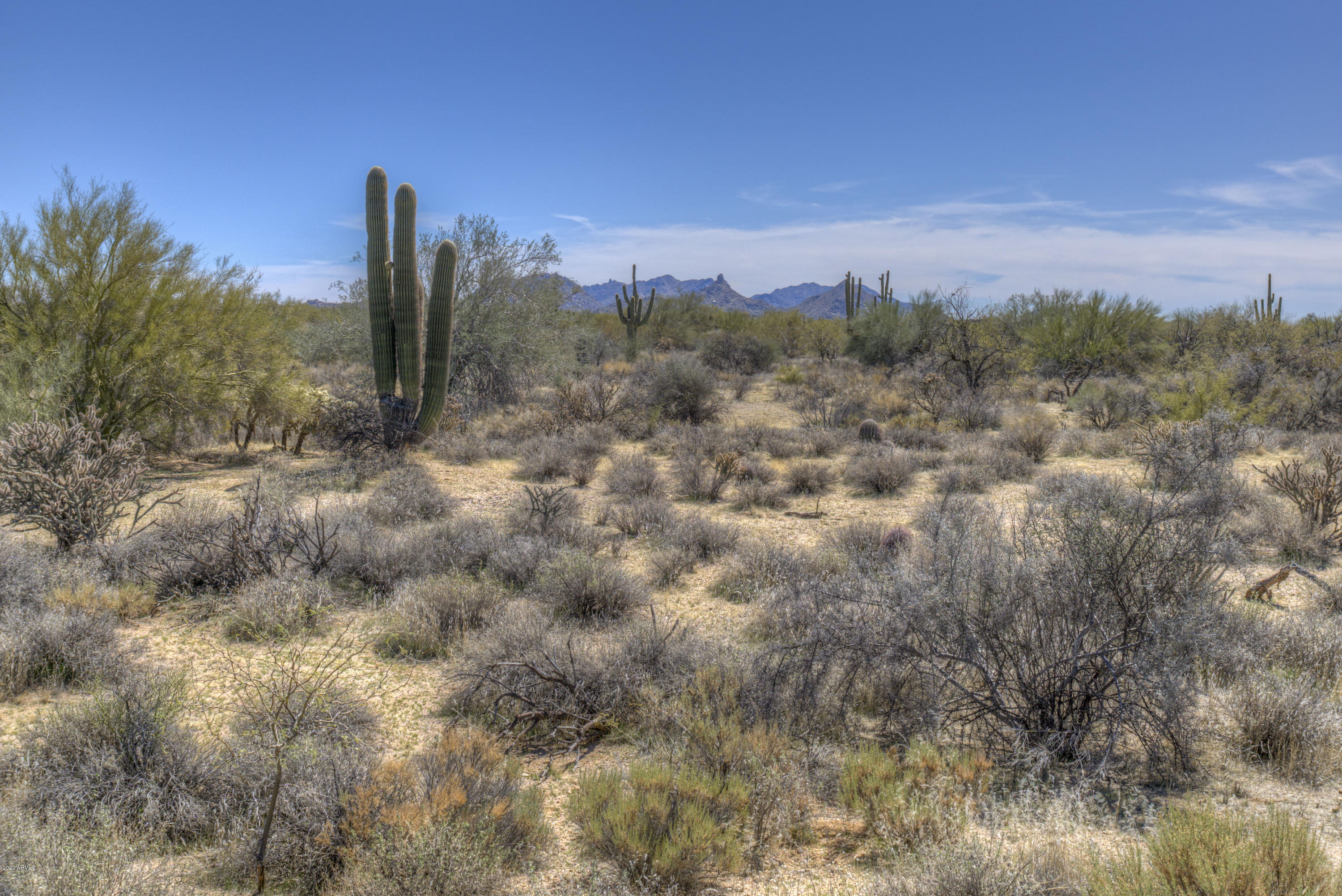 31815 East Ranch Road, Unit 11 Scottsdale, AZ 85266 - Photo 12 of 34 26