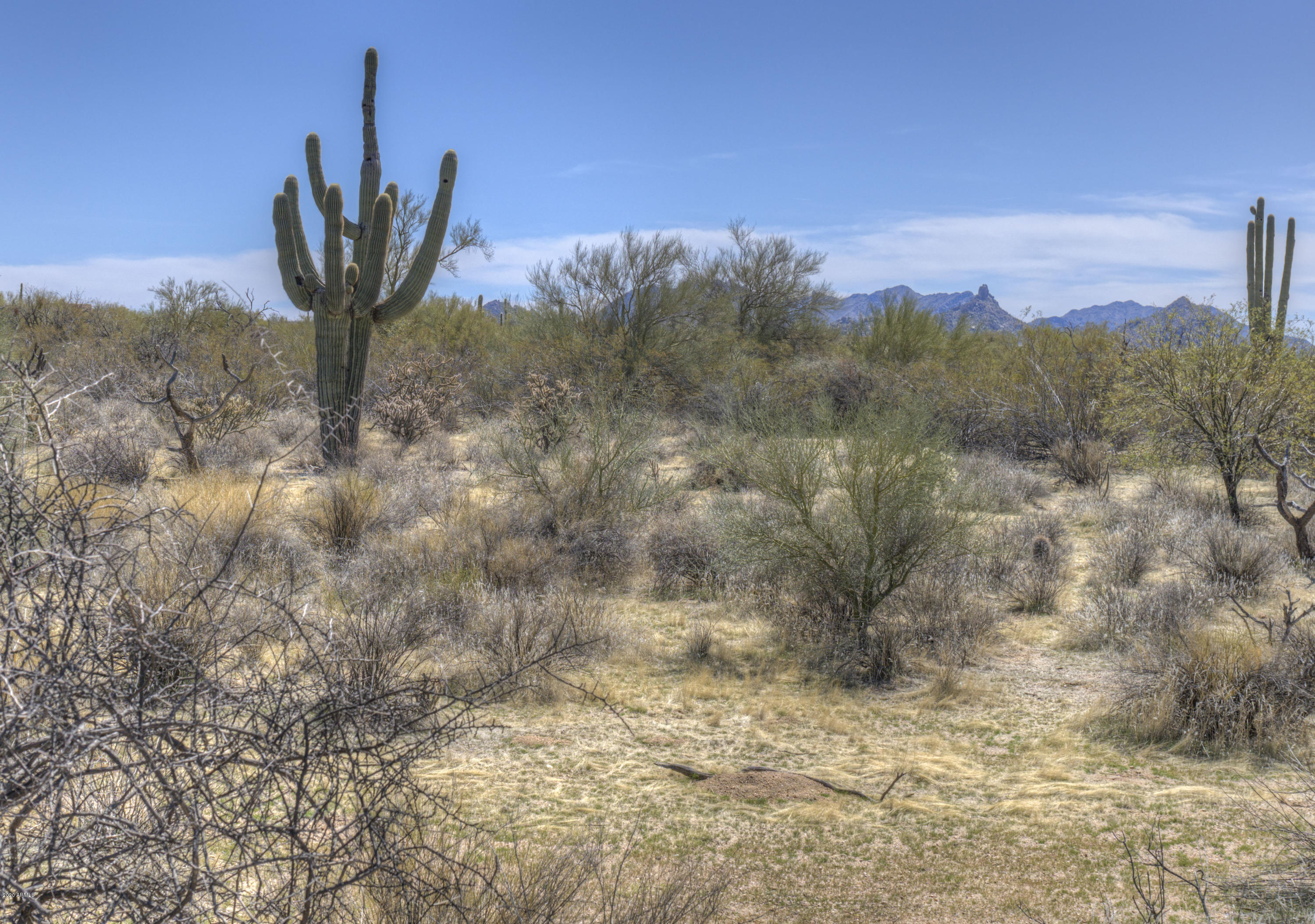 31815 East Ranch Road, Unit 11 Scottsdale, AZ 85266 - Photo 31 of 34 03