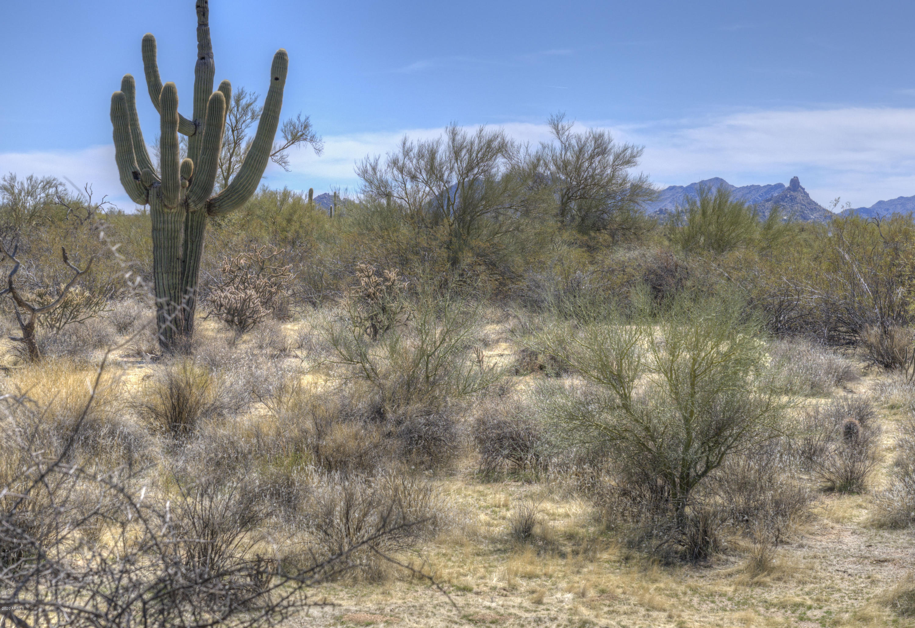 31815 East Ranch Road, Unit 11 Scottsdale, AZ 85266 - Photo 32 of 34 02
