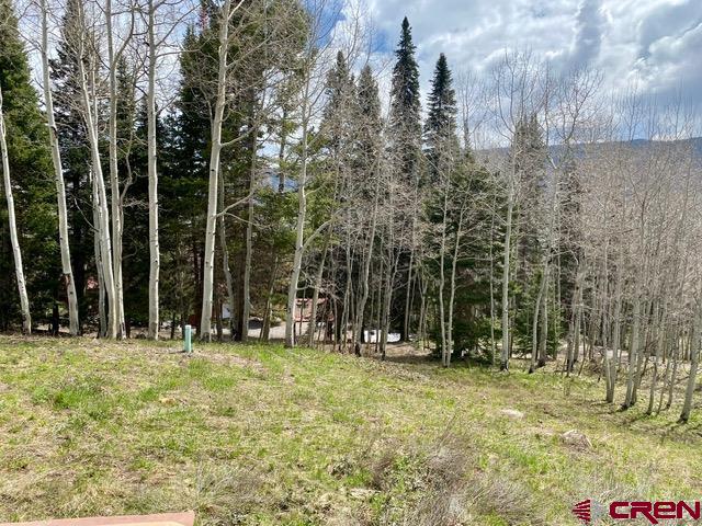 480 Bear Trail Montrose, CO 81403 - Photo 33 of 35 a view of outdoor space with trees in the background