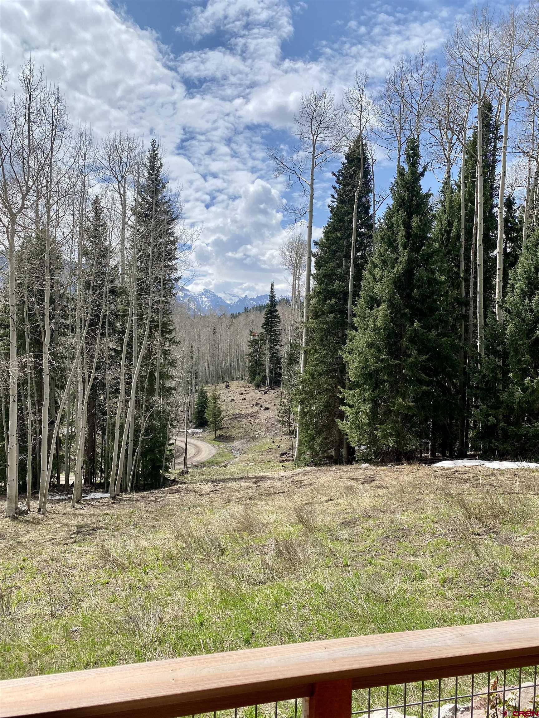 480 Bear Trail Montrose, CO 81403 - Photo 34 of 35 a view of a yard with trees