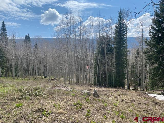 480 Bear Trail Montrose, CO 81403 - Photo 35 of 35 a view of a backyard of the house