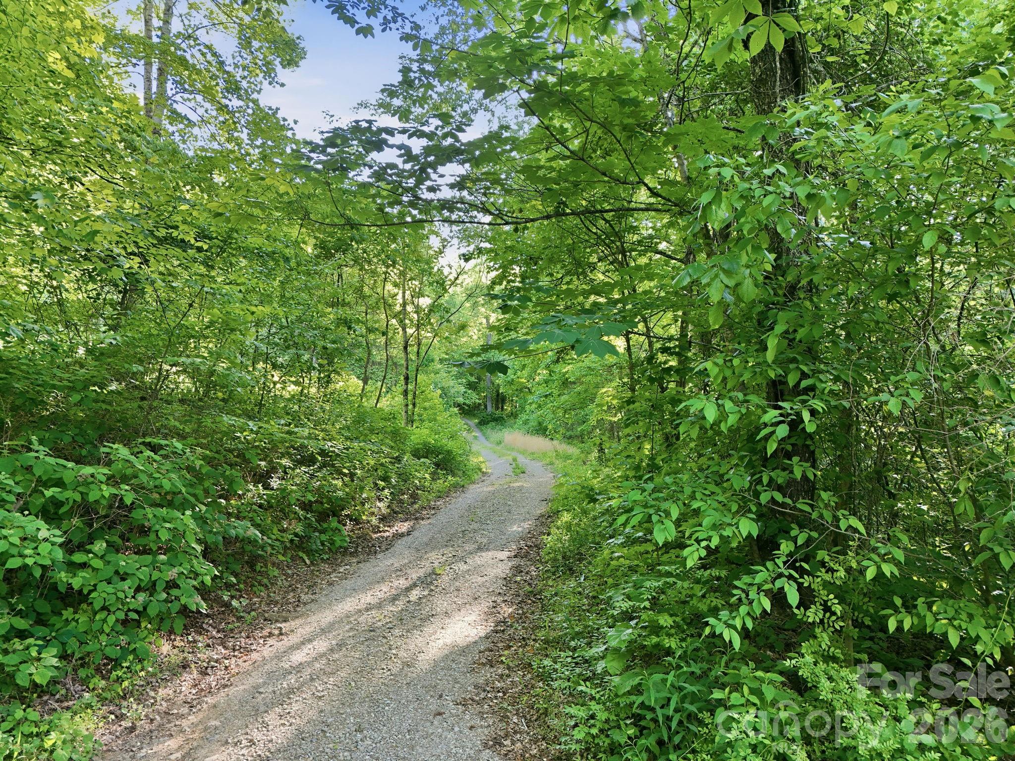 98 Sparkling Springs Road Fairview, NC 28730 - Photo 44 of 48