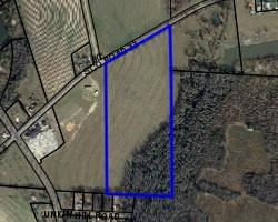 Lot 3 South Co Road Headland, AL 36345 - Photo 2 of 11