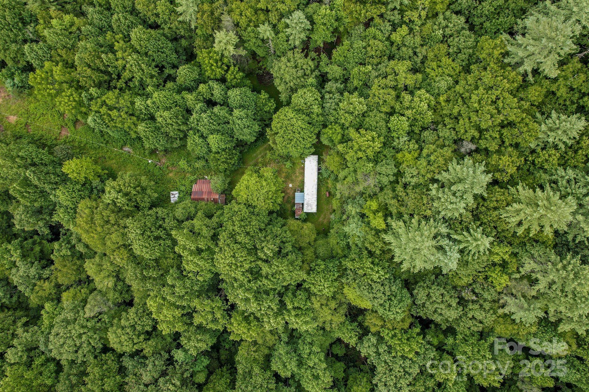 1616 Meadow Fork Road Hot Springs, NC 28743 - Photo 13 of 15 Gallery Image 13