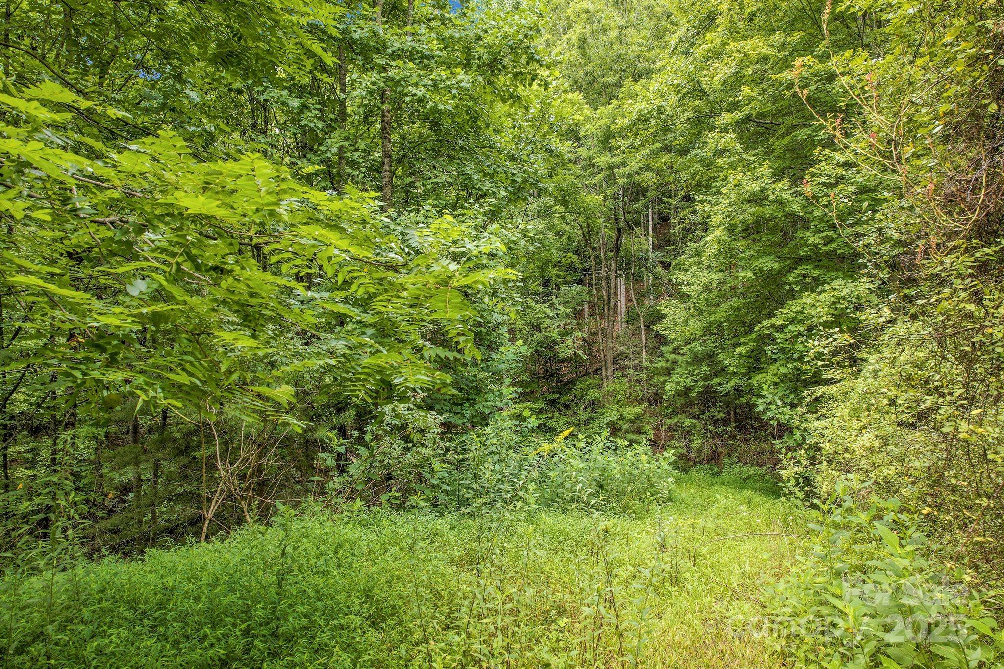 1616 Meadow Fork Road Hot Springs, NC 28743 - Photo 4 of 15 Gallery Image 4