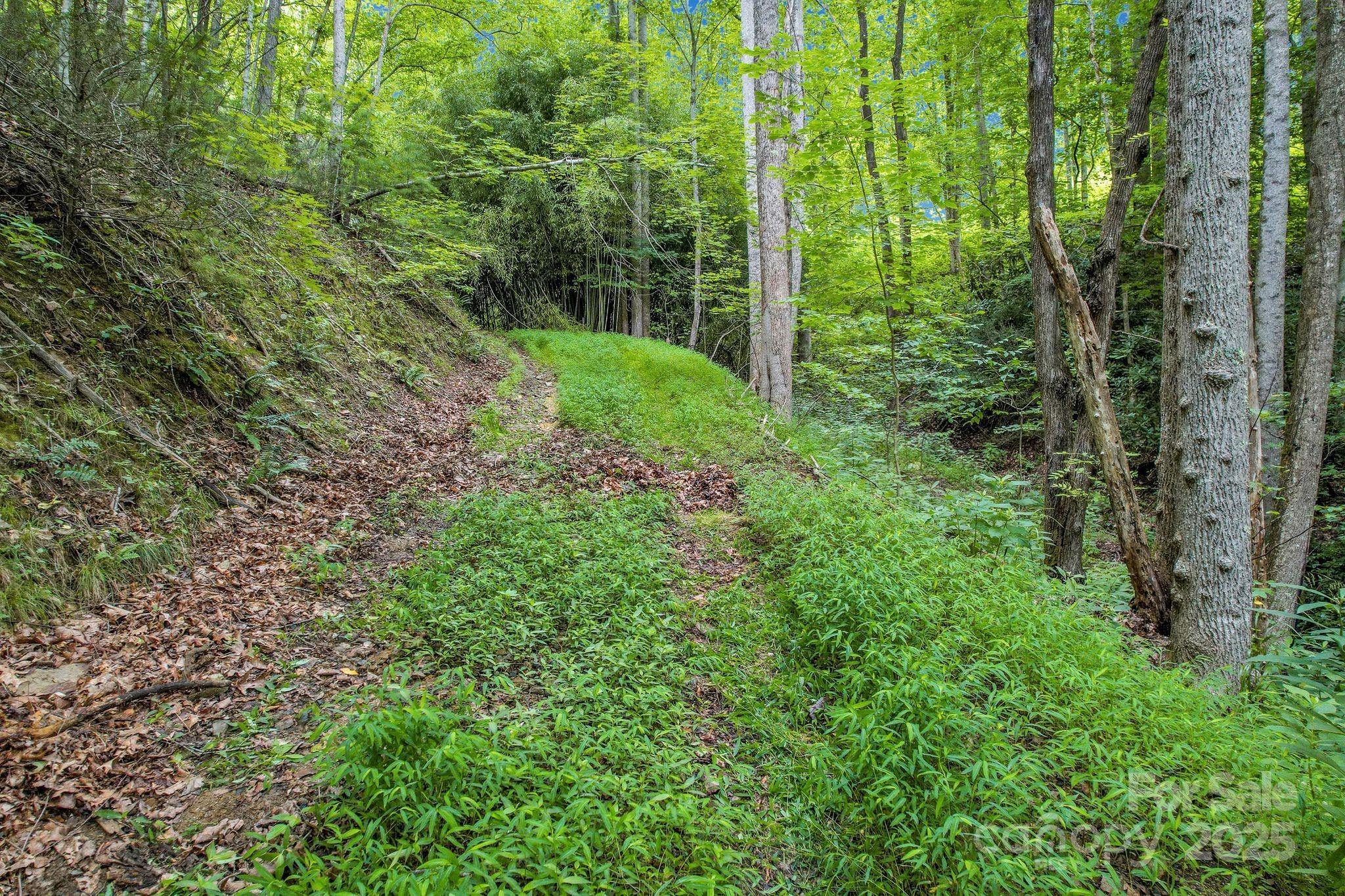 1616 Meadow Fork Road Hot Springs, NC 28743 - Photo 6 of 15 Gallery Image 6