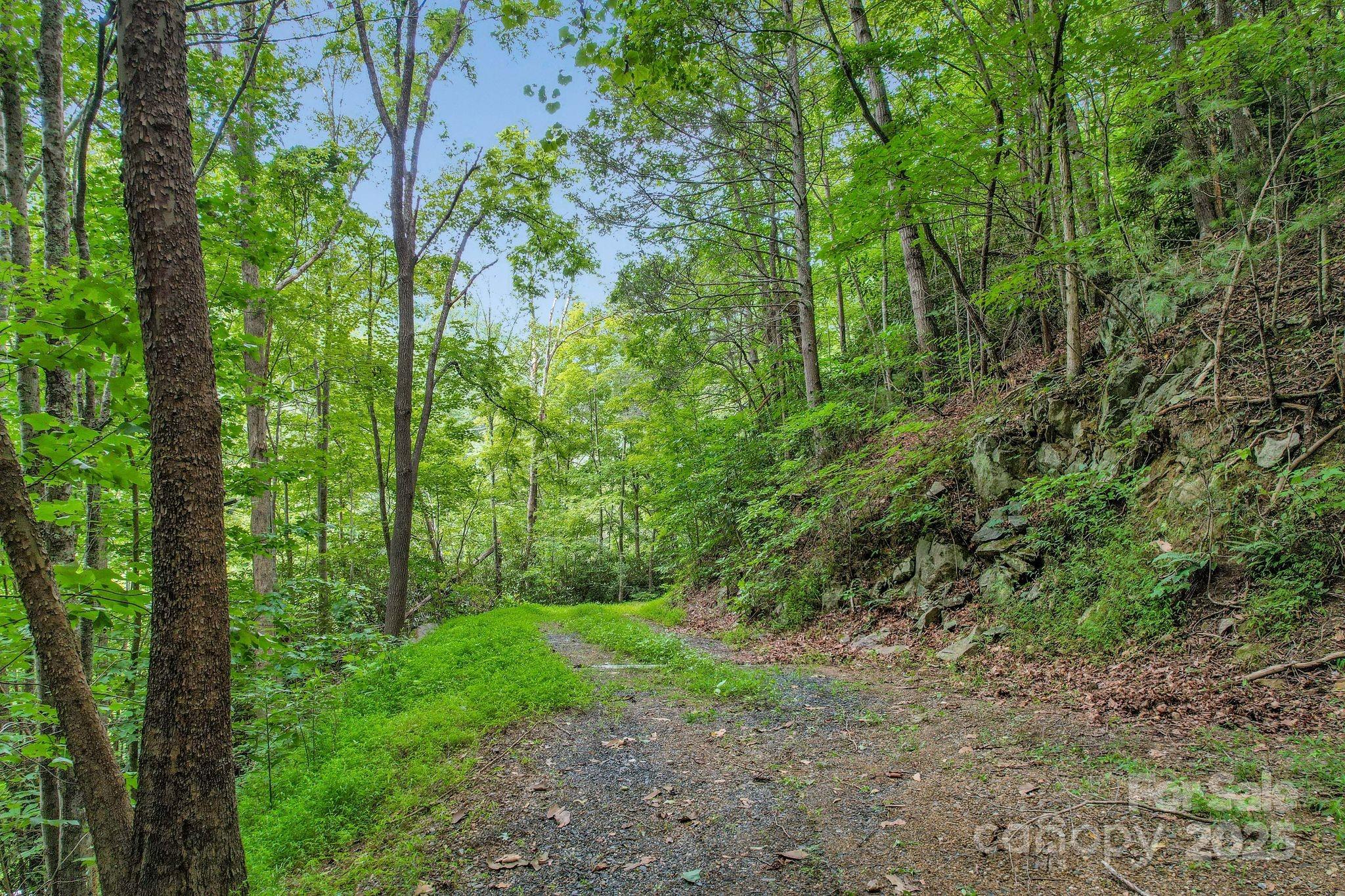 1616 Meadow Fork Road Hot Springs, NC 28743 - Photo 7 of 15 Gallery Image 7