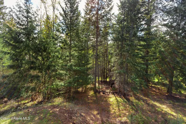 $915,000 | 6101 Bottle Bay Road, Sagle, ID 83860
