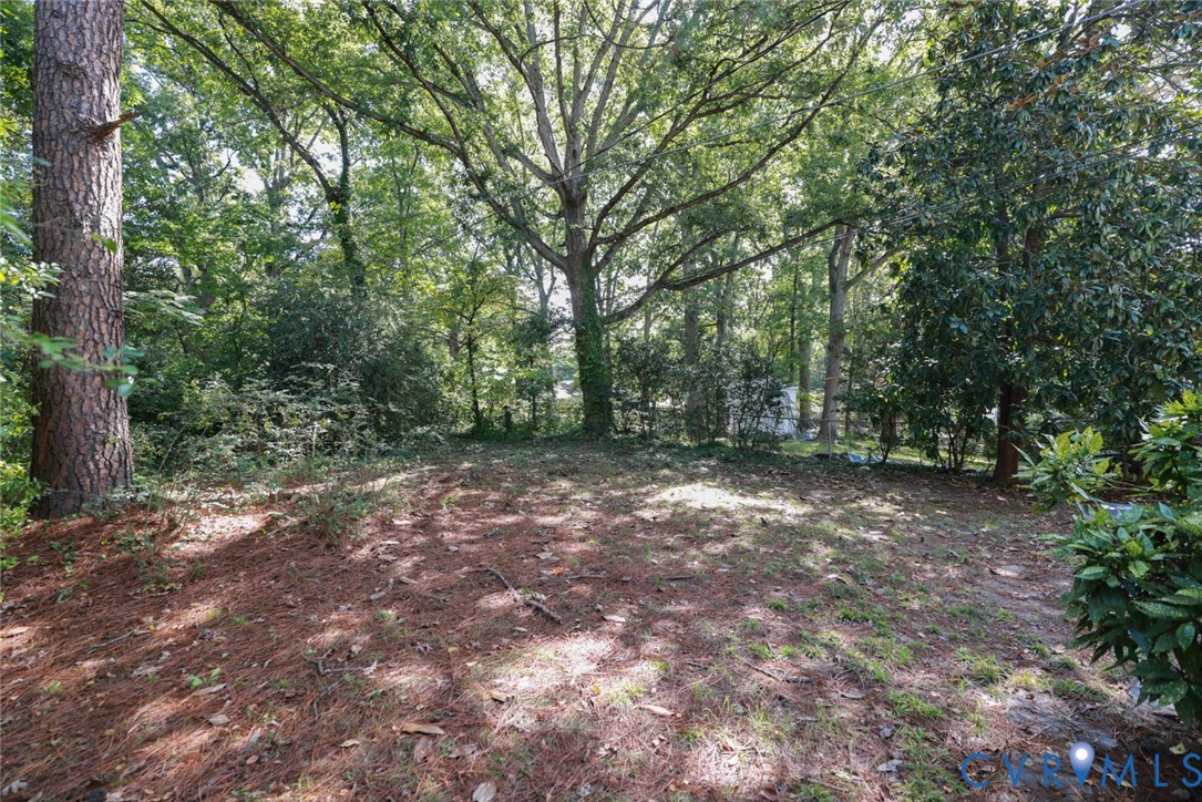 3007 Dunwick Road Richmond, VA 23230 - Photo 44 of 49 Wooded lot with mature trees and natural ground co
