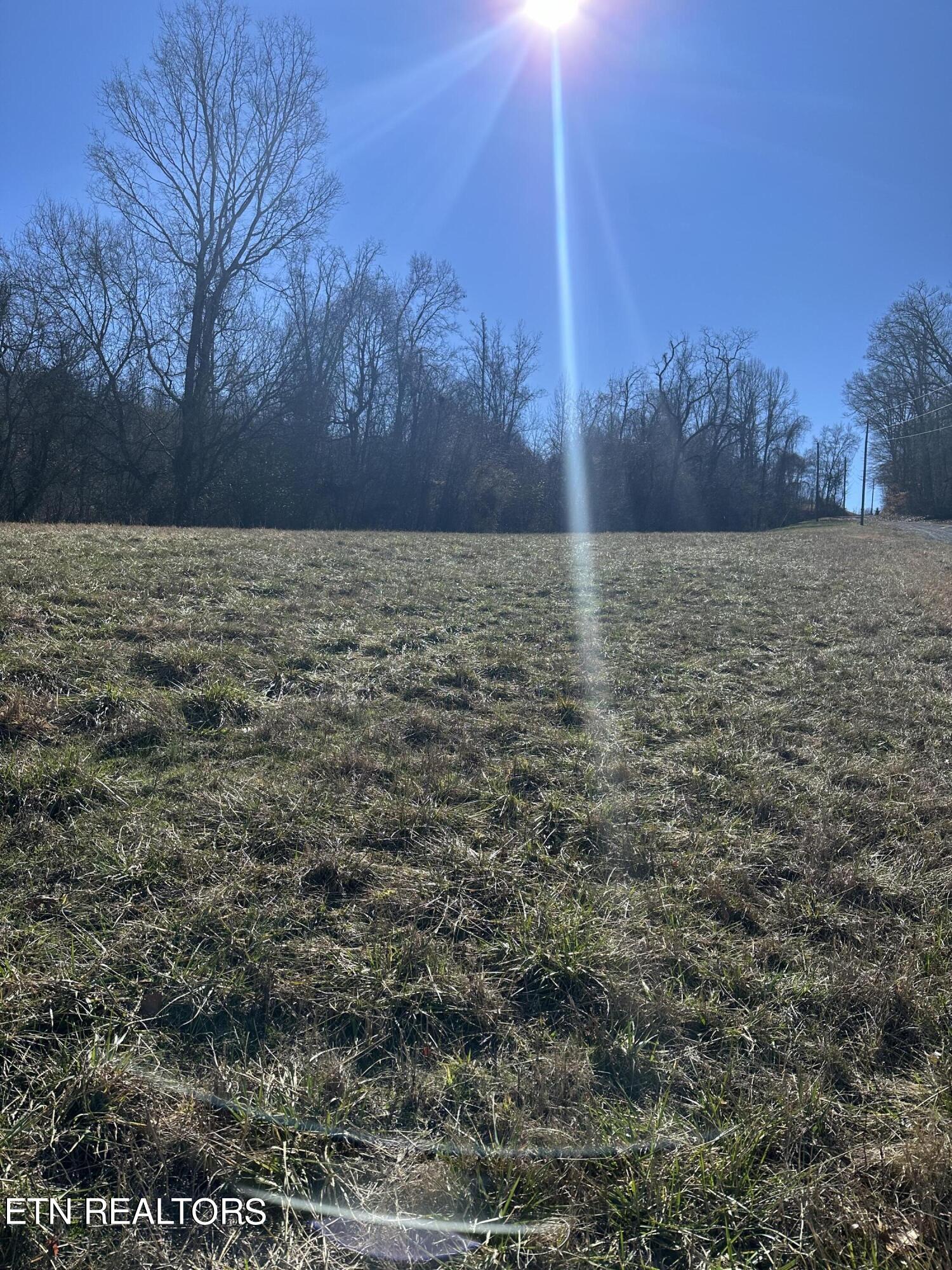 Bob Wright Road Maynardville, TN 37807 - Photo 3 of 12 lot 18 8
