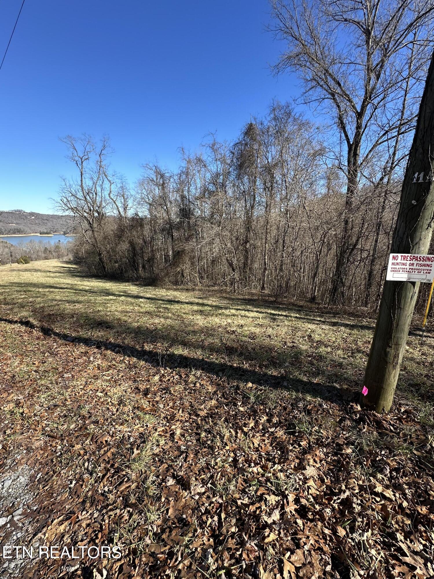 Bob Wright Road Maynardville, TN 37807 - Photo 4 of 12 lot 18 12
