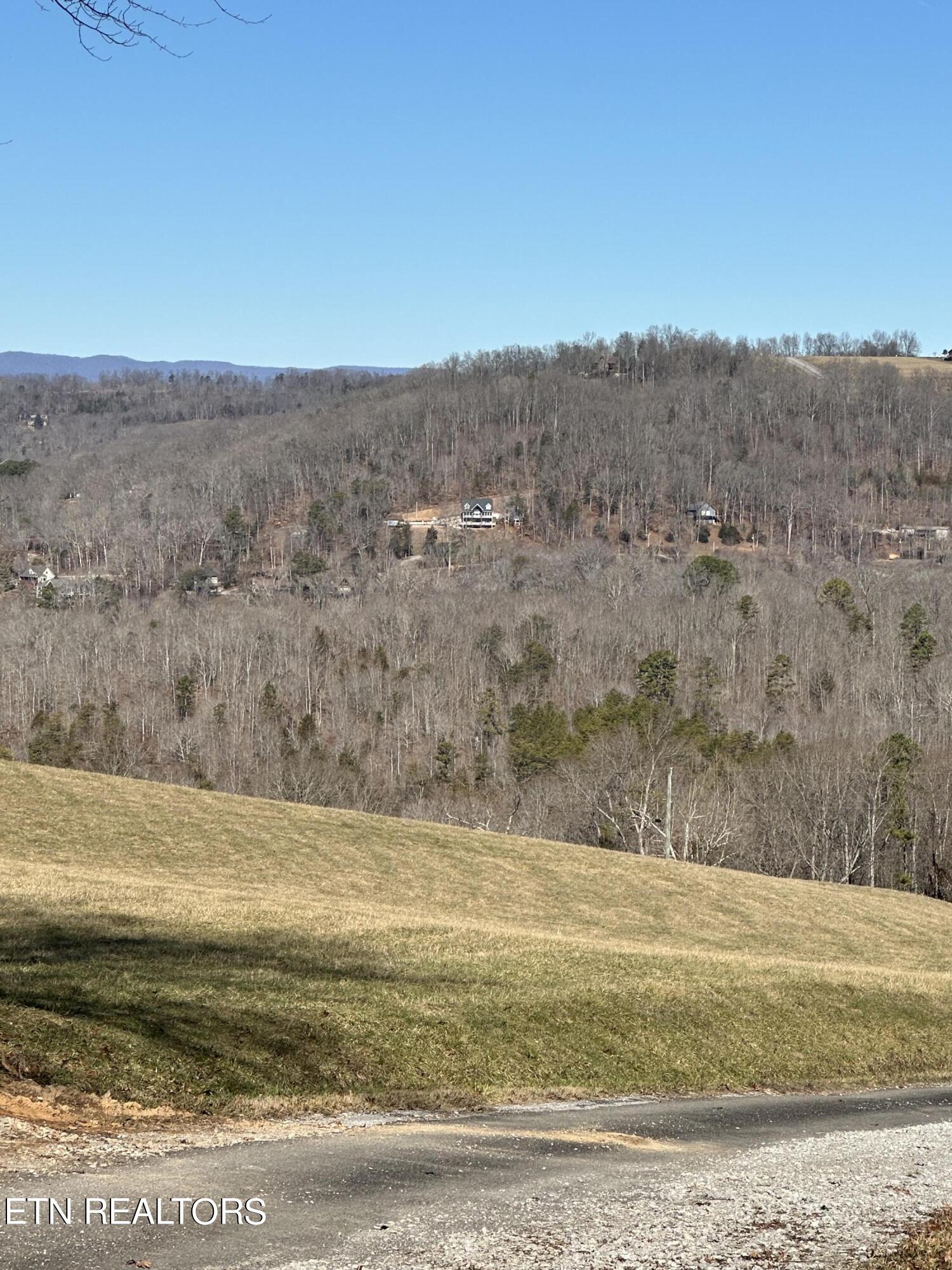 Bob Wright Road Maynardville, TN 37807 - Photo 5 of 12 lot 18 11