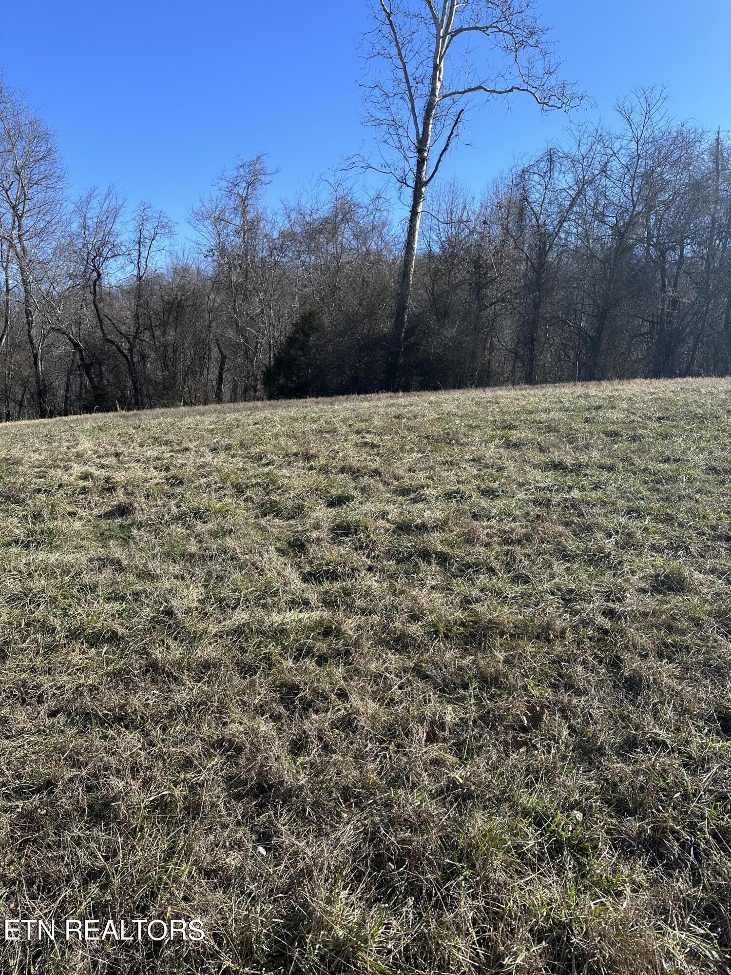 Bob Wright Road Maynardville, TN 37807 - Photo 6 of 12 lot 18 9