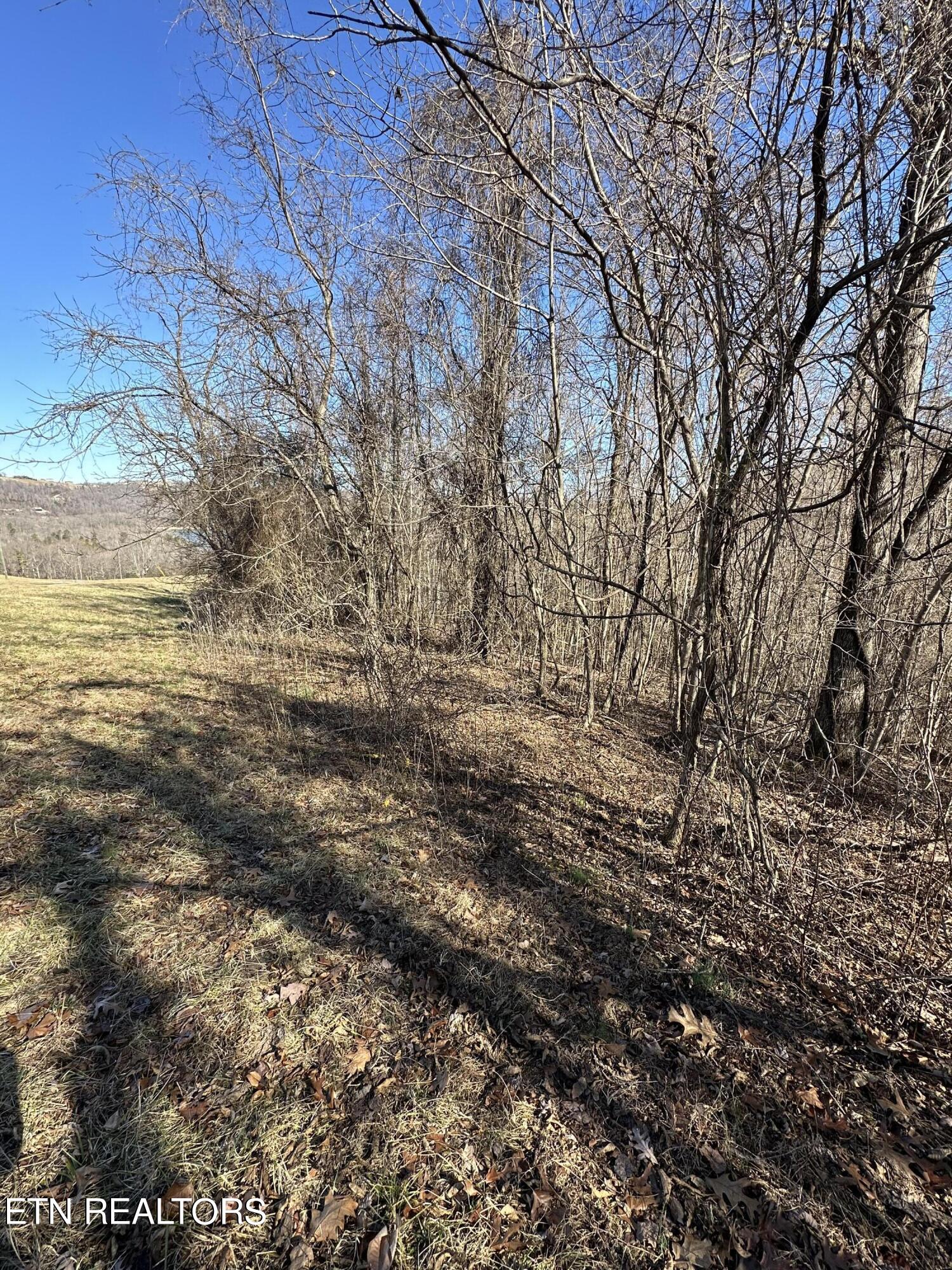 Bob Wright Road Maynardville, TN 37807 - Photo 7 of 12 lot 18 6