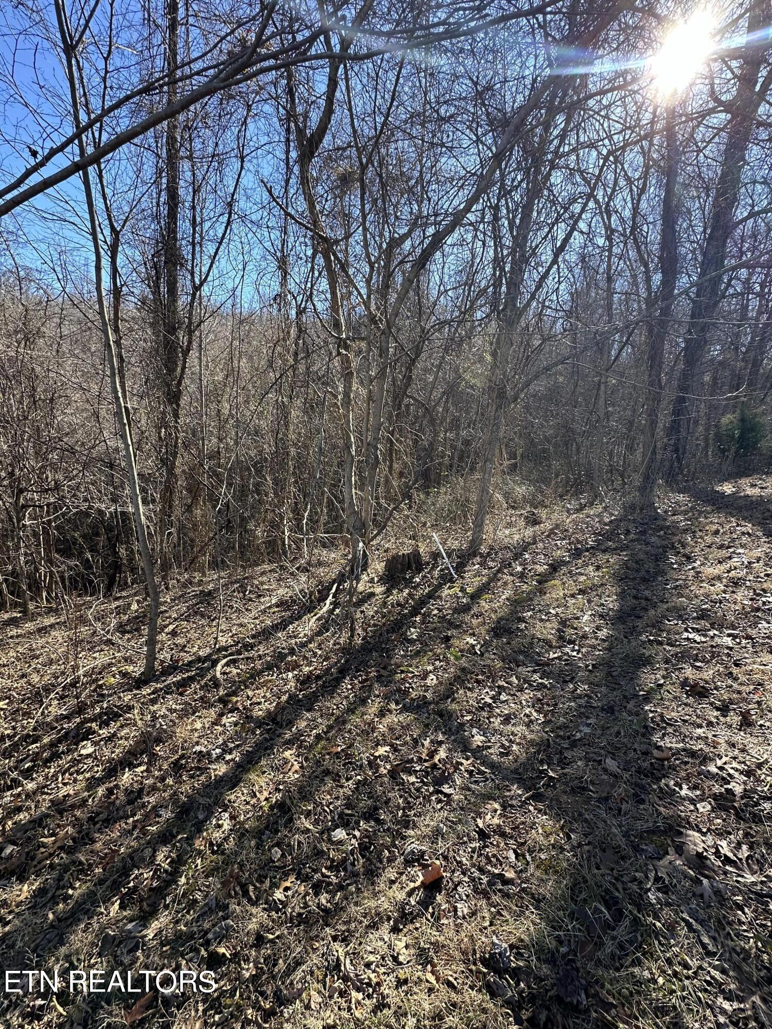 Bob Wright Road Maynardville, TN 37807 - Photo 8 of 12 lot 18 5