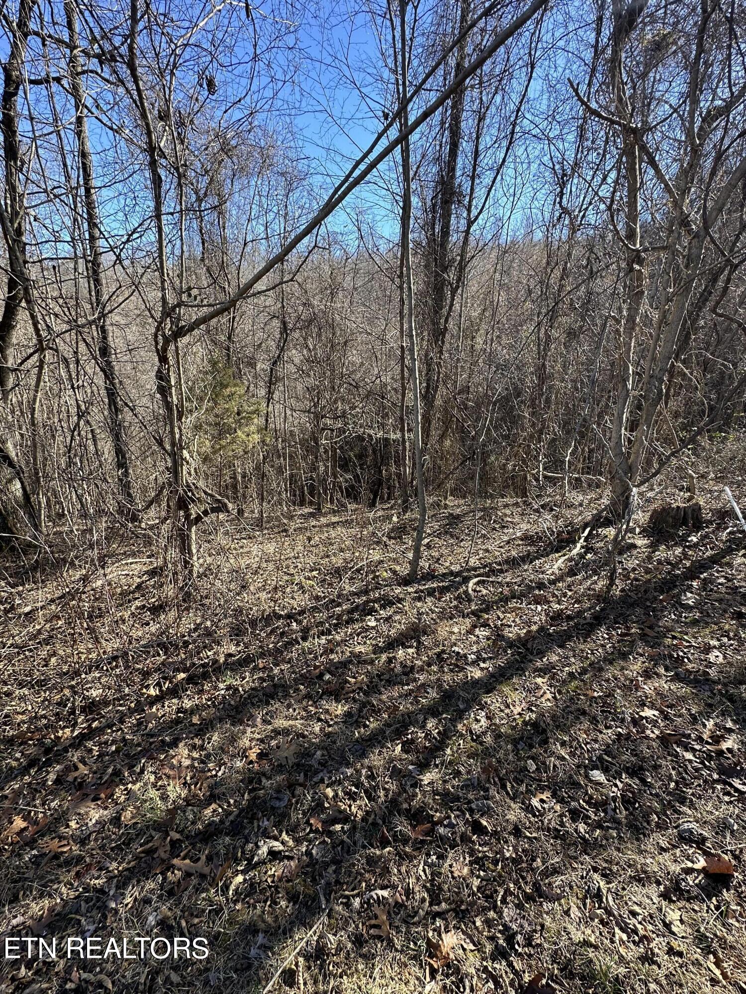 Bob Wright Road Maynardville, TN 37807 - Photo 9 of 12 lot 18 4