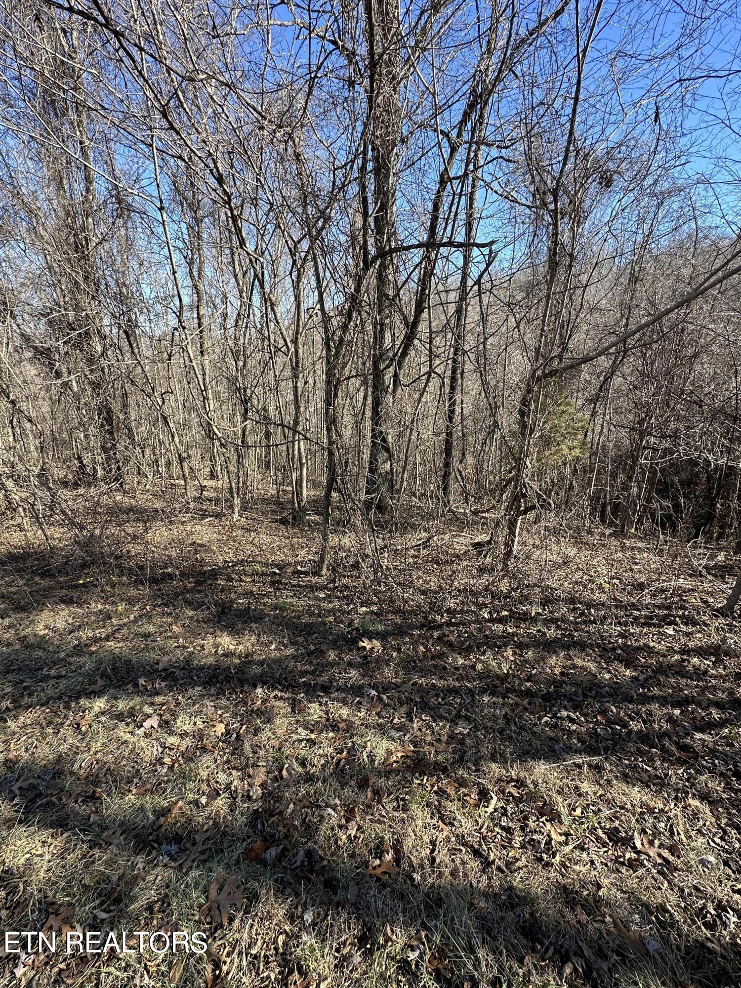 Bob Wright Road Maynardville, TN 37807 - Photo 10 of 12 lot 18 3