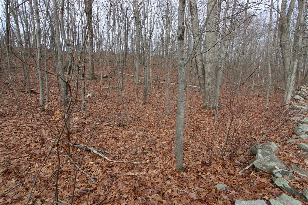 47 Southwick Road Sutton, MA 01590 - Photo 2 of 3