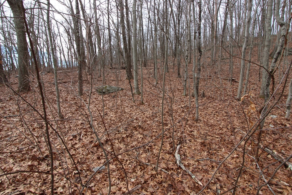 47 Southwick Road Sutton, MA 01590 - Photo 3 of 3