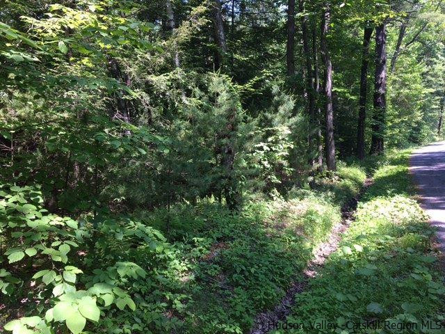 Tbd Lot #2 Tbd Road Mount Tremper, NY 12457 - Photo 2 of 5 Photo 2