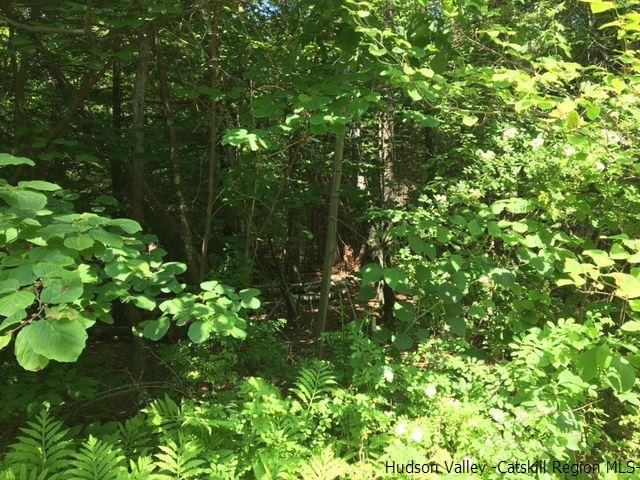 Tbd Lot #2 Tbd Road Mount Tremper, NY 12457 - Photo 3 of 5 Photo 3