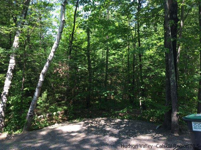 Tbd Lot #2 Tbd Road Mount Tremper, NY 12457 - Photo 4 of 5 Photo 4
