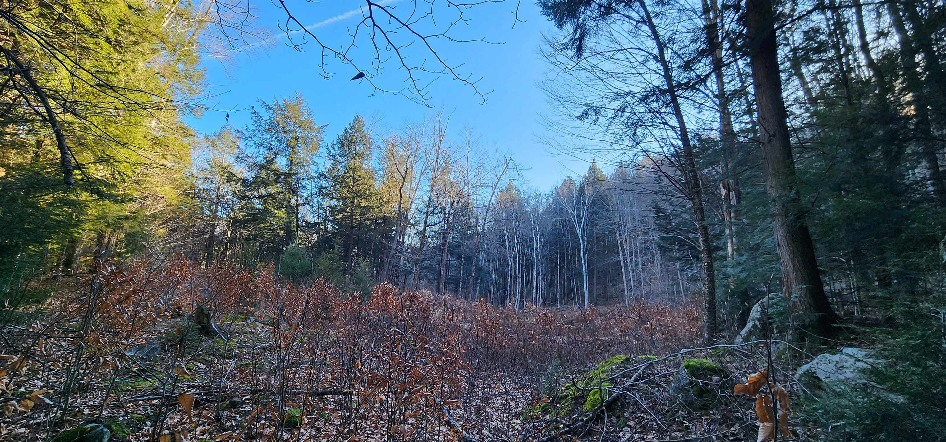 0 Mill Road Stamford, VT 05352 - Photo 21 of 24