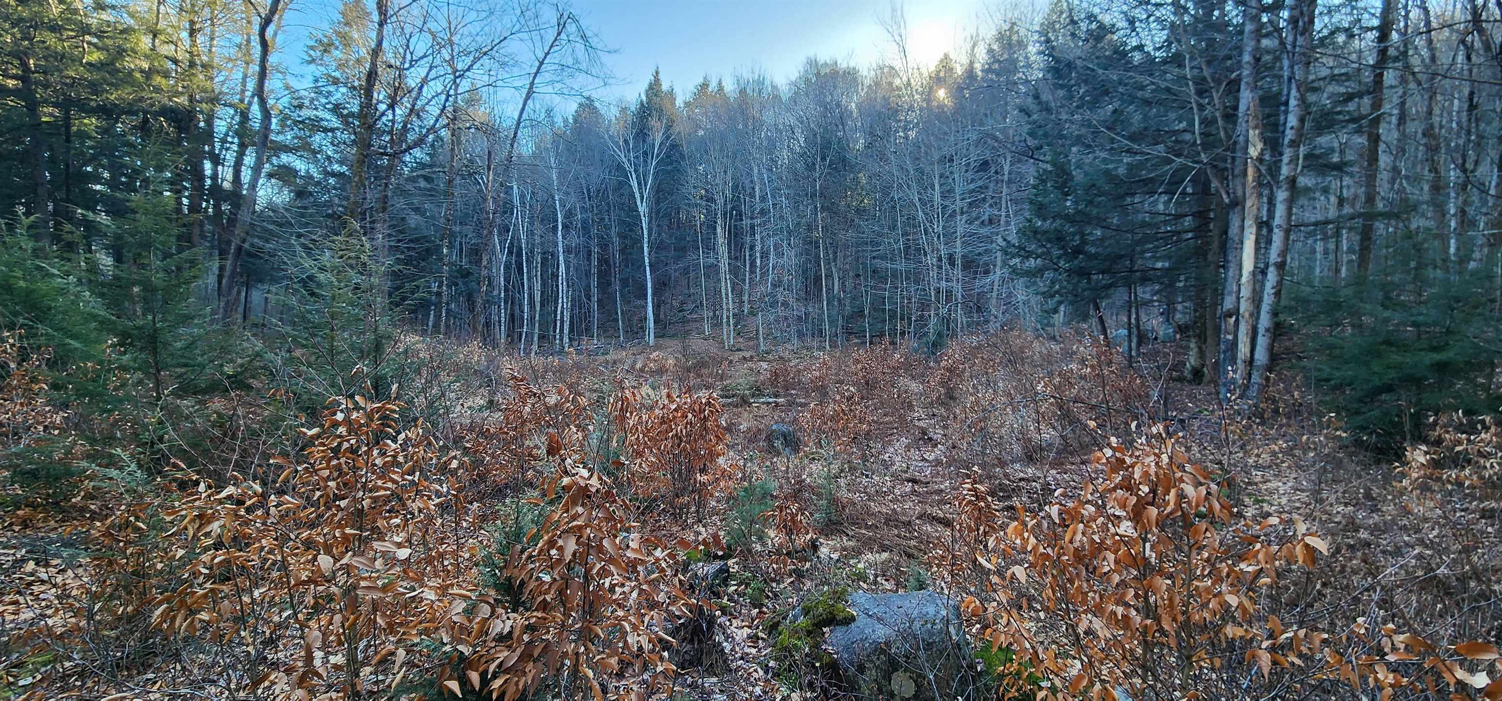 0 Mill Road Stamford, VT 05352 - Photo 22 of 24